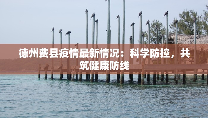德州费县疫情最新情况:科学防控,共筑健康防线 德州费县疫情最新情况:科学防控,共筑健康防线