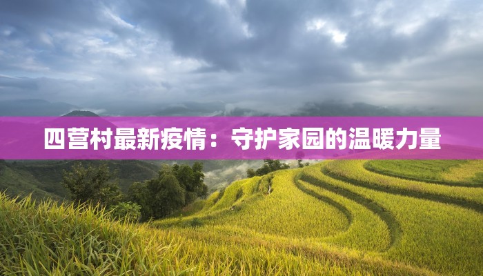 四营村最新疫情:守护家园的温暖力量 四营村最新疫情:守护家园的温暖力量