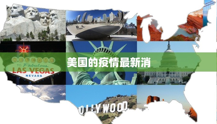 美国的疫情最新消