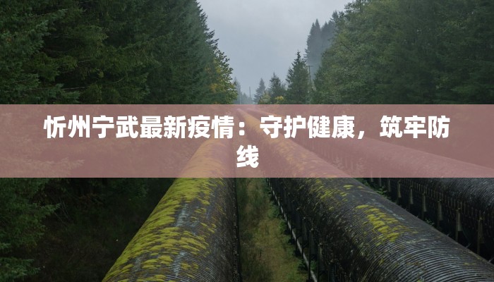 忻州宁武最新疫情：守护健康，筑牢防线