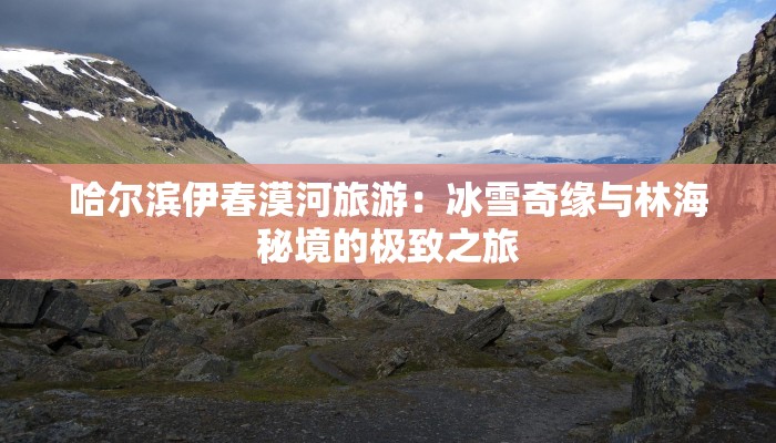 哈尔滨伊春漠河旅游：冰雪奇缘与林海秘境的极致之旅