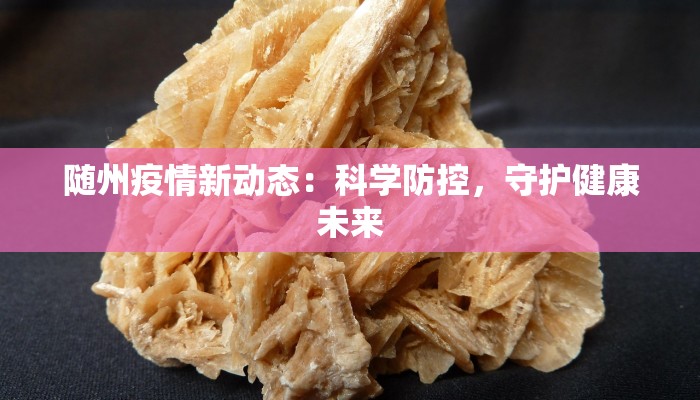 随州疫情新动态：科学防控，守护健康未来