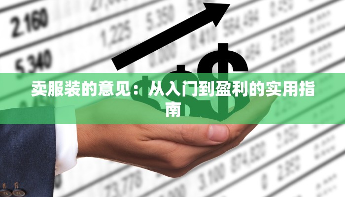 卖服装的意见：从入门到盈利的实用指南