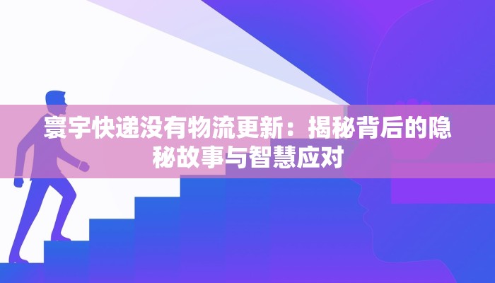 寰宇快递没有物流更新：揭秘背后的隐秘故事与智慧应对