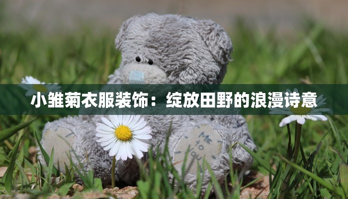小雏菊衣服装饰：绽放田野的浪漫诗意