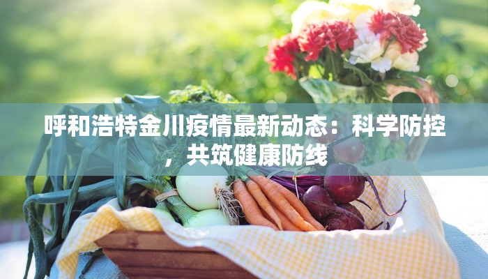 呼和浩特金川疫情最新动态：科学防控，共筑健康防线