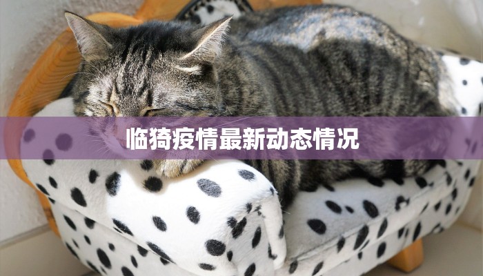 最新大理疫情消息：守护洱海蓝天，健康生活从这里启航