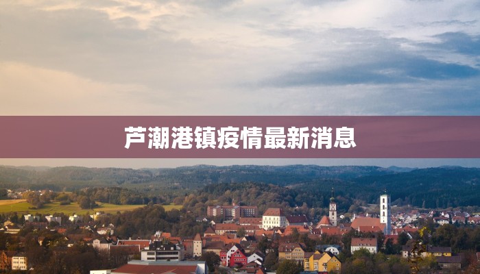 芦潮港镇疫情最新消息 芦潮港镇疫情最新消息