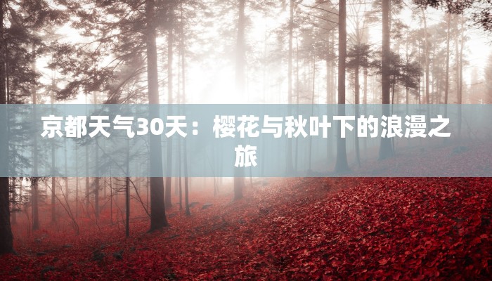 招募团购达人佣金