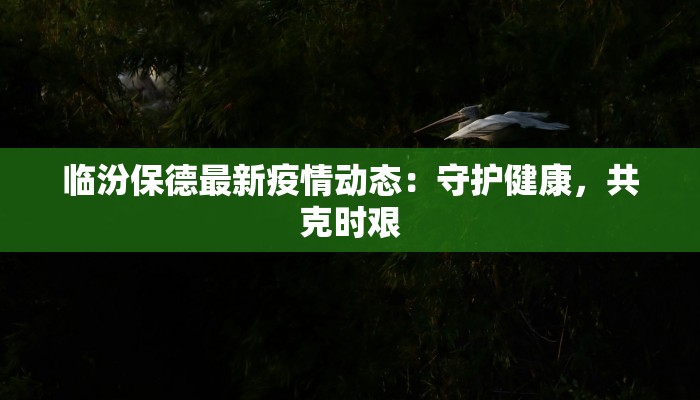 临汾保德最新疫情动态：守护健康，共克时艰