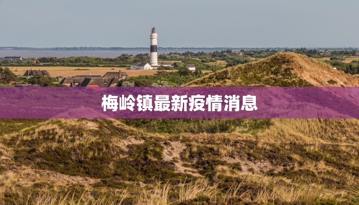 梅岭镇最新疫情消息 梅岭镇最新疫情消息