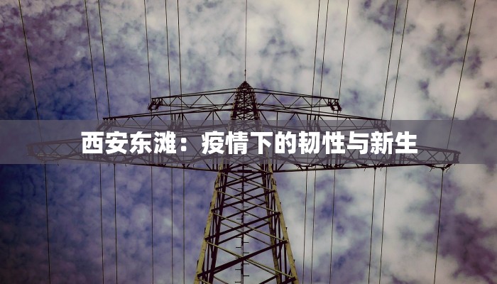 西安东滩：疫情下的韧性与新生