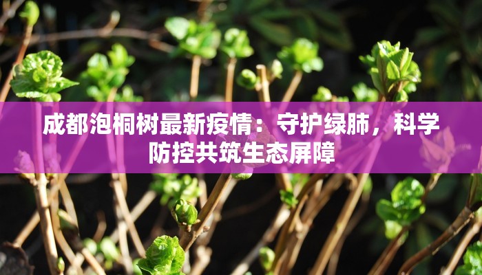 成都泡桐树最新疫情:守护绿肺,科学防控共筑生态屏障 成都泡桐树最新疫情:守护绿肺,科学防控共筑生态屏障