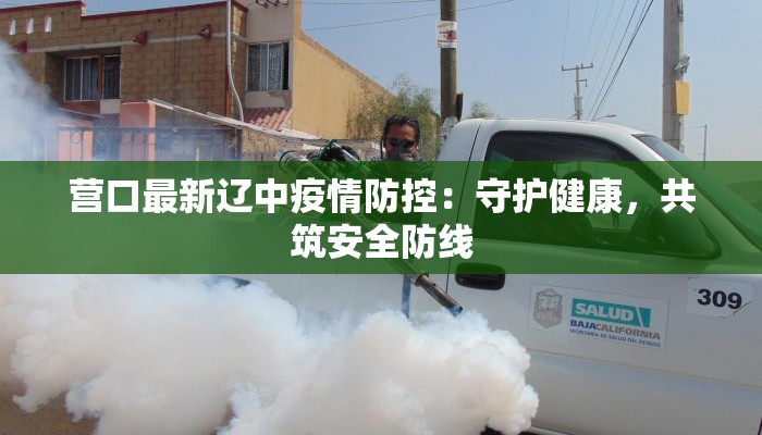 营口最新辽中疫情防控：守护健康，共筑安全防线