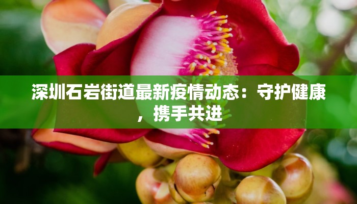 深圳石岩街道最新疫情动态：守护健康，携手共进