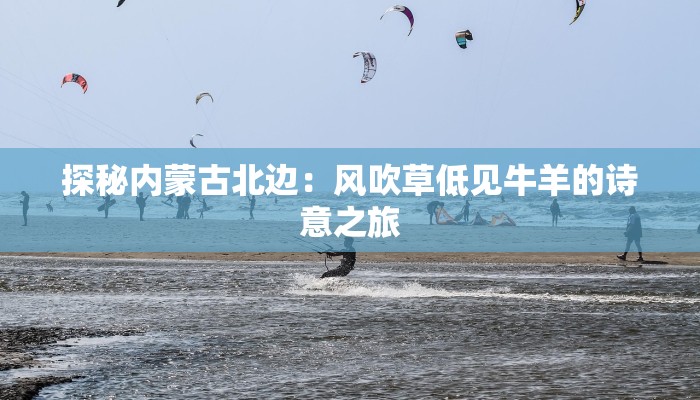 探秘内蒙古北边:风吹草低见牛羊的诗意之旅 探秘内蒙古北边:风吹草低见牛羊的诗意之旅