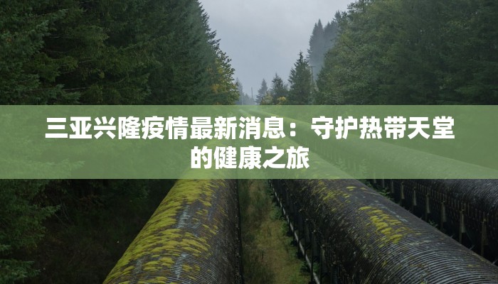 屏山最新疫情消息